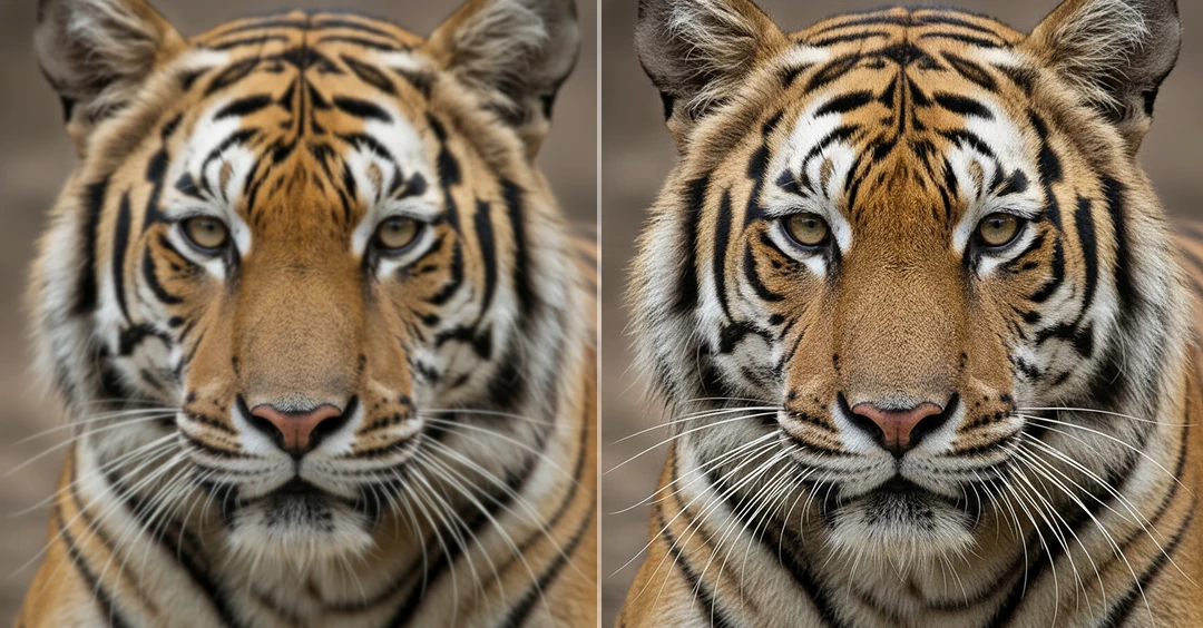 AI Smart Resolution Scaling