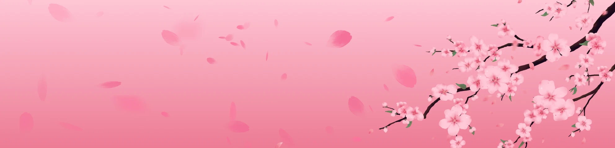 Spring Sale – 70% OFF!